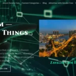 Zavalio.com Review: What Is It, How Does It Work, and Is It Worth Visiting?